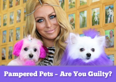 Outrageously, unbelievably pampered pets!