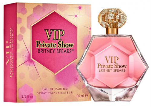 Britney Spears VIP Private Show Reviews